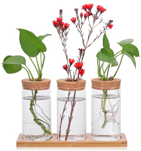 Fentar Terrario Piante Vetro, Ampolle di Vetro per Piante con Base in Legno e Spina, Elegante Terrarium Vetro con Piante, Stazione di Propagazione del Tavolo per Piante Idroponiche Talee di Fiori