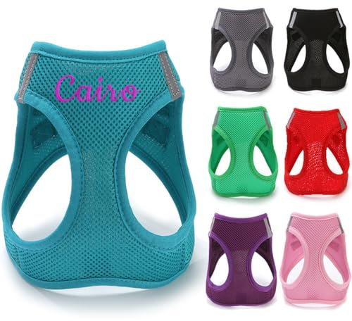 Keruidian Personalisiertes Hundegeschirr, personalisierbar, mit Namen, Welpengeschirr, bestickter Name, weiches Netzgewebe, Größe M