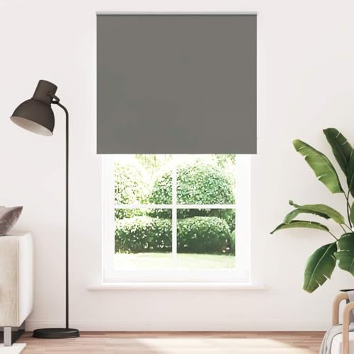 vidaXL Tenda a Rullo Oscurante 120x230 cm Larghezza Tessuto 116,6 cm