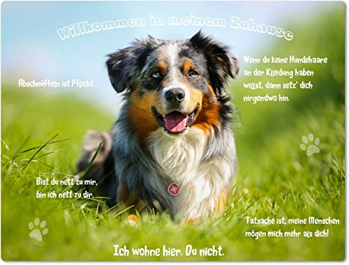 Merchandise for Fans Blechschild/Warnschild/Türschild - Aluminium - 20x30cm - - Willkommen in Meinem Zuhause - Motiv: Australian Shepherd liegend - 05