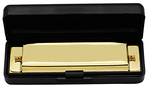 Mundharmonika 10 Löcher 20 Melodien Diatonische Mundharmonika Professionelles Metall-Musikinstrument für Anfänger Schüler Kinder(Gold)