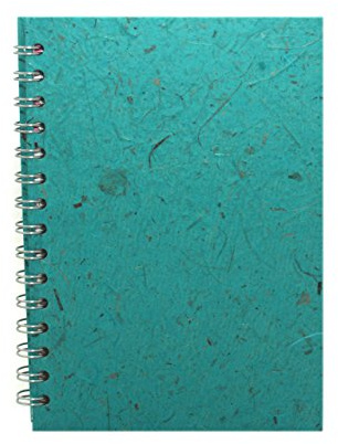 Pink Pig A5 Posh Lined Banana Notebook - Sky