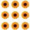 Craftdady 50 Stück Sonnenblumen-Cabochons aus Harz mit flacher Rückseite, 15 mm, oranger Helianthus, Blumen-Dekoration, Schleim-Charms, Perlen für Zuhause, Basteln, Dekoration, Sammelalben