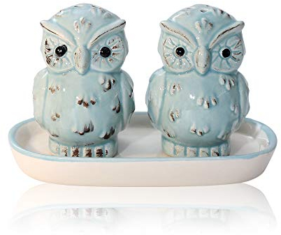 Lustige Salz- und Pfefferstreuer aus Porzellan - Freche Salzstreuer Gewürzspender - Einweihungsgeschenk Hochzeitsgeschenk Geburtstagsgeschenk für Pärchen Paare (Uhu Blau)