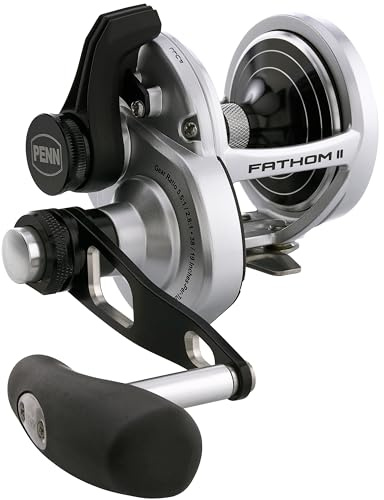 Penn Fathom II Lever Drag 2 Speed Conventional Fishing Reels