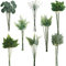OrgMemory Feuilles Artificielles, 48 pièces, 8 Types, Feuilles D'eucalyptus, Plantes Artificielles, Feuilles Artificielles Deco, pour Arrangement Floral Maison (Feuilles Vertes)