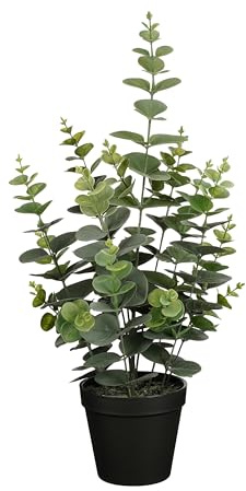 MICA Decorations Künstliche Pflanze Eukalyptus im Topf – H 53 x Ø 23 cm – Grün