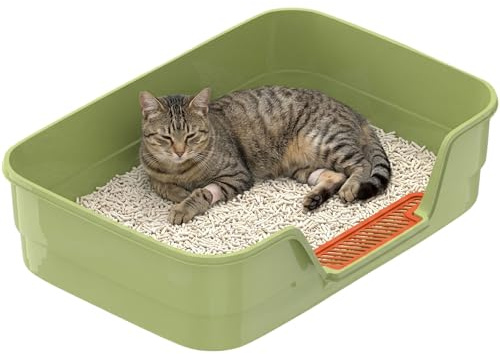 Suhaco Bac à litière à entrée basse pour chatons, grands bacs à litière pour chats âgés - Petite litière en plastique pour petits chats avec marchepied - Nettoyage facile - 61 x 40,6 x 12,7 cm (L x l