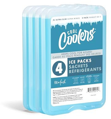 Fit & Fresh Lot de 4 blocs réfrigérants pour congélateur, Bleu, Taille XL