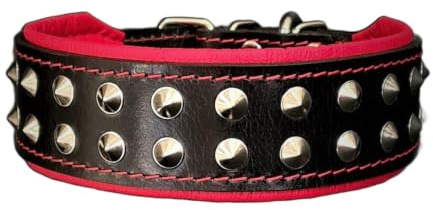 Bestia ''Boston'' Halsband | Größe M - passend zu einem Hals von 42,5 - 50 cm, für große und mittelgroße Hunde, Schwarz & Rot
