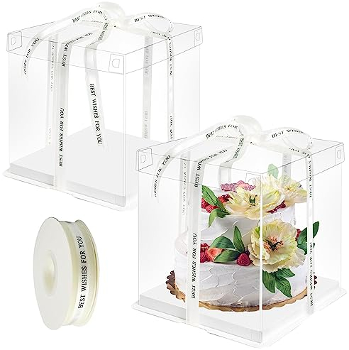 ZIOYA 2 Stück Transparente Tortenbox Doppelschicht Kuchenschachtel Kuchenbehälter 8 inch Geschenkbox Durchsichtig Tortenbox Geschenk Boxen mit Band für Geburtstag Dessert