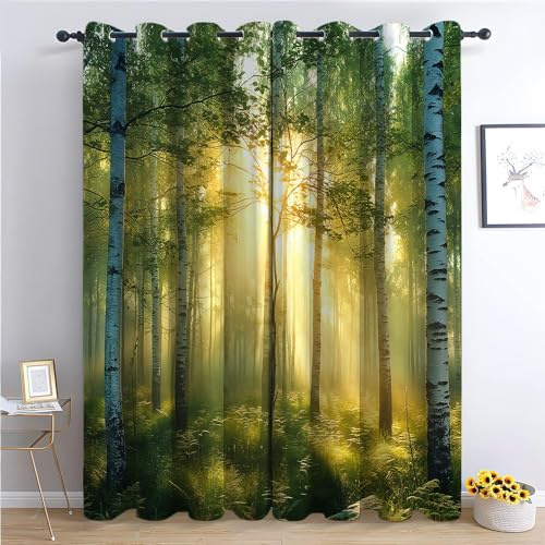Blickdichte Vorhänge, Sonnige Natur Verdunkelungsvorhang - Sonnenaufgang im ruhigen Birkenwald 260 x 140 cm - Vorhänge Mit Ösen, Polyester für Schlafzimmer Wohnzimmer, Geräuschreduzierung 2 St