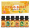 SALKING Citrus Burst Essential Oils, Fragrance Oils Gift Set, Diffuser Oils, Scented Oils for Soaps Candle Making - Sweet Orange, Bergamo, Lemon, Grapefruit, Lime, Yuzu