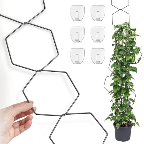 Lot de 18 treillis à chaîne pour plantes grimpantes, support hexagonal pour plantes grimpantes, support mural pour pot de plantes d'intérieur (y compris 6 crochets de suspension, noir)