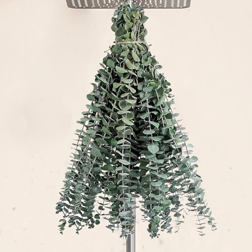 32 getrocknete Eukalyptusstiele für die Dusche, 43,2 cm, natürlich, konserviert, getrocknete Eukalyptus-Duschpflanze, frische Eukalyptusstiele, Grünpflanze, Blumenarrangement, Hochzeit, Vasenfüller,