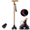 JWBXFYXW Canes Old Man Stock mit Lampe, intelligente Holzfarbe, multifunktionale Krücke, skalierbarer Beleuchtungsstab, Alter Outdoor-Gehstock, hergestellt in China, Journey