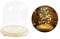 Warmiehomy Glass Cloche Bell Jar Dome with Wood Base Glass Domes for Display Suitable for forever flower doll and toys(Diameter 15cm, Height 21cm)