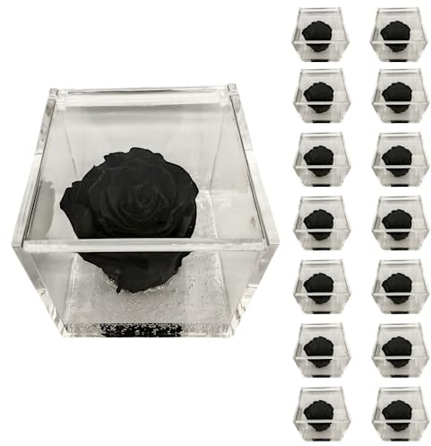 PremiumRose 15 Cubi Rosa Nera Stabilizzata e Profumata da 5 cm con Rosa Eterna Vera, Idea Regalo Mamma, Fidanzata, Amica, Idea Regalo per Compleanno, Laurea, Matrimonio, Made in Italy (15 Pezzi)