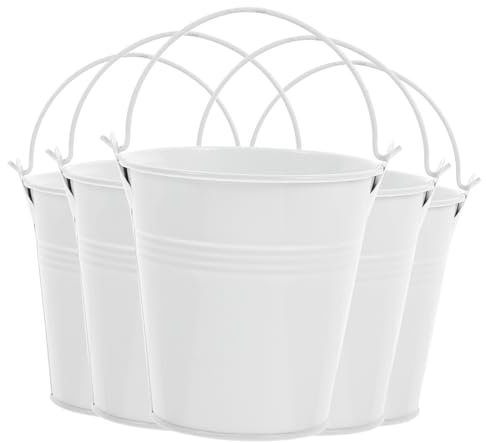 MERRYHAPY Maceta De Hierro Mini para Suculentas, 5 Piezas Blancas con Asa, 10x7x10 Cm, Macetas Decorativas para Jardinería Interior y Exterior