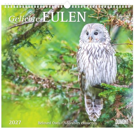 Geliebte Eulen 2027: Wandkalender 38x35,5 cm mit 12 Eulenmotiven und 3-sprachigem Kalendarium