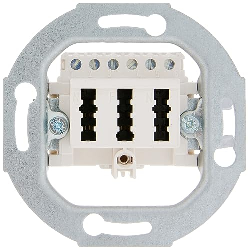 Berker TAE-Anschlußdose pws 450009