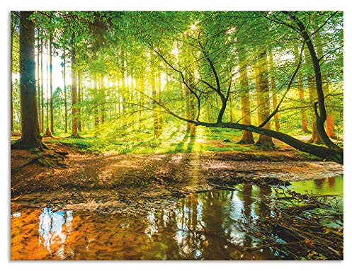 ARTland Spritzschutz Küchenrückwand aus Alu für Küche Herd Spüle 60x80 cm (BxH) mit Motiv Natur Landschaft Wald Bäume Sonne Bach Landhaus Grün T9IO