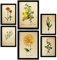 Nacnic Gelbe Blumen Postern. Vollfarbige Natur- und Botanikdrucke mit Blumenmotiven im Vintage Papier Stil. Innenarchitektur und Dekoration. A4 & A3.