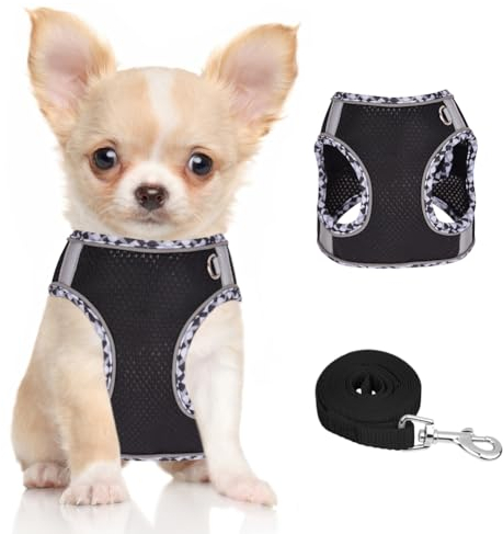 Doggiekit Arnés Reflectante Ajustable para Perros Pequeños y Cachorros - Con Correa y Malla Transpirable - Tamaño Extra Pequeño a Mediano
