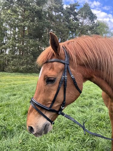 Brama West Ledertrense Pferd Sparkle - englisch kombiniert - Reithalfter mit Antislip Zügel und Strasssteinen - Braun, Gr. Shetty