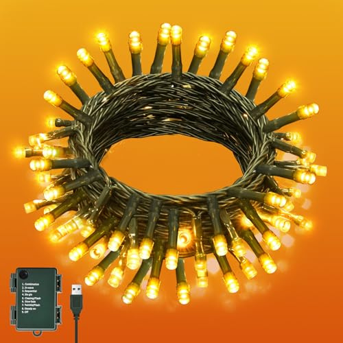 Isisyu Fairy Lights 6M 60LED Fairy String Lights USB or Battery Operated with Timer, 8 Modes, Waterproof Green Wire Warm White Christmas Lights for Indoor Outdoor Bedroom Wedding Birthday Wreath Xmas
