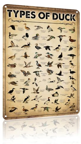 Type Of Duck Tin Sign Vintage Knowledge Duck Hunting Decorations For Home Kitchen Duck Wall Art 8 x 12 In (2512)