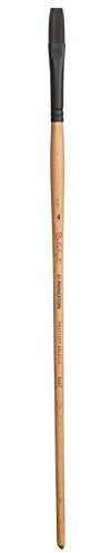 PRINCETON CATALYST Série P6400 Plat Taille 4 Long Manche