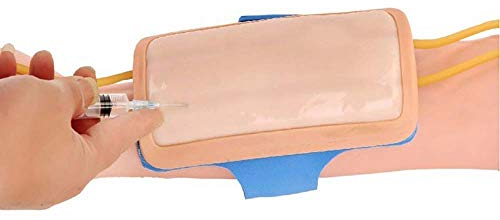 Iv Praxis Mold Menschliche Haut Modell Pad - Venenpunktion Practice-Modell - für Krankenschwester Apprentice Arzt intravenöser Injektion, Infusion Entwickelt Training für Training und Ausbildung
