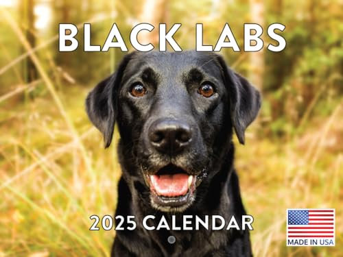 Black Lab Kalender 2024