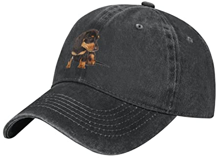 874 Baseballkappe Dackel Hund Unisex Basecap Unisex Dad Hat Verstellbare Baseball Kappe Für Cotton Basecap Wandern Distressed Stickerei Cap