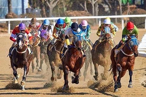 Horse Racing Adult Puzzle 100 Pieces Jigsaw Puzzle Horse Racing Funny Educational Game Challenge 45,5 x 35,5CM