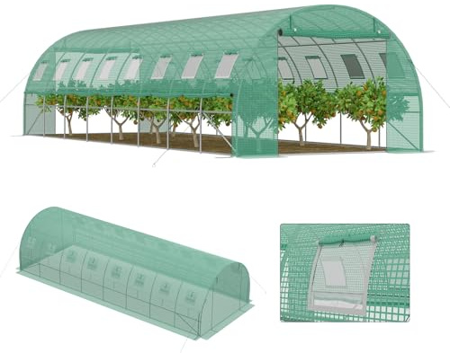 LZQ Serre en film plastique - 3 x 8 x 2 m - Serre de jardin accessible - Tunnel de serre - Tunnel de serre avec fenêtres et portes zippées