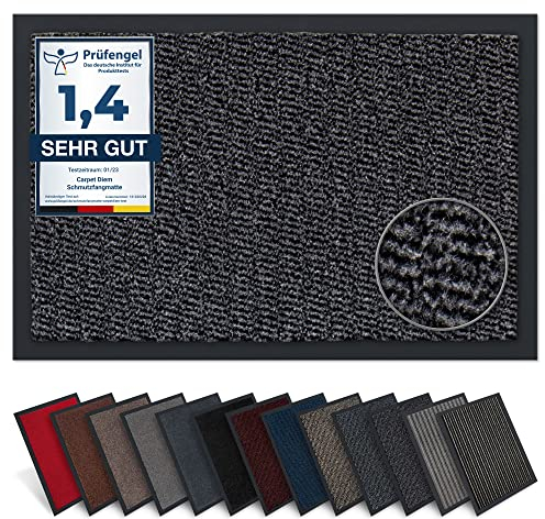 Carpet Diem Fußmatte, einfach sauber I Schmutzfangmatte Eingangsbereich - Fussmatte Innen & Außen, rutschfeste Türmatte, Schmutzfang Teppich für Haustür I Fußabtreter in Anthrazit-Schwarz 60x90 cm