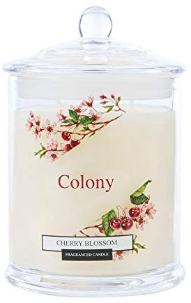 Wax Lyrical Colony Scented Cherry Blossom, Up to 84 Hours Burn time, Large Candle Jar