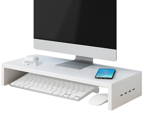 Zahoken Monitor Stand For Desk, Booster With 4 USB Ports, Ergonomic Laptop Stand, Desktop For Printer Screen Laptop Electronics Home School Playroom Work Study