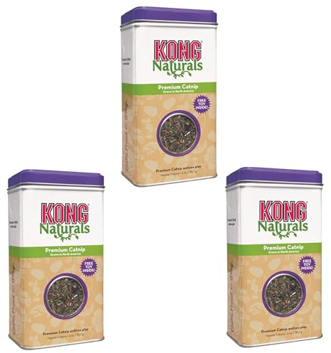 (3 Pack) Kong - KONG CATNIP PREMIUM 2OZ