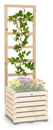 blumfeldt Modu Grow - Treillis UP, 50 x 151 x 3 cm (H x L x P), pergola, tuteur, échelle à Plantes, huilé, Bois de pin, fabriqué en Europe - Pin