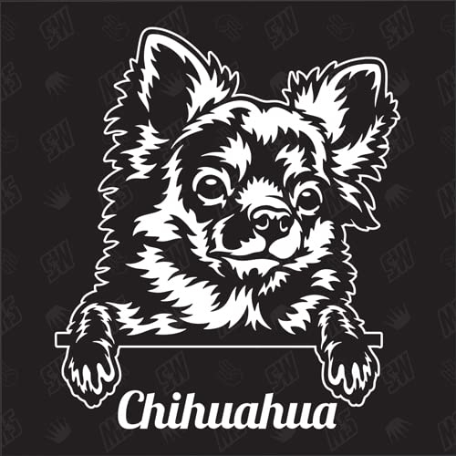 speedwerk-motorwear Chihuahua Version 2 - Sticker, Aufkleber, Hundeaufkleber, Autoaufkleber, Hund, Auto, Hunderassen, Mischling, Mix, Tiere, Haustier (AUCH MIT Wunschname MÖGLICH)