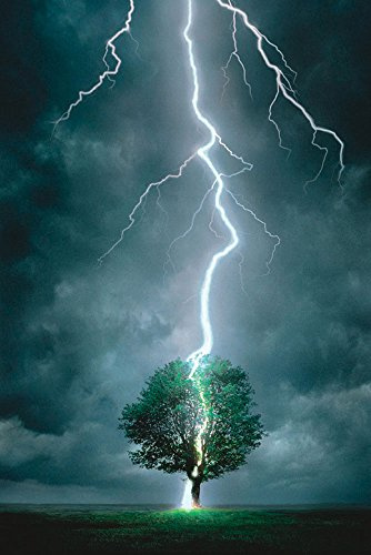 empireposter Poster - Power of Nature - Lightning Striking Tree I