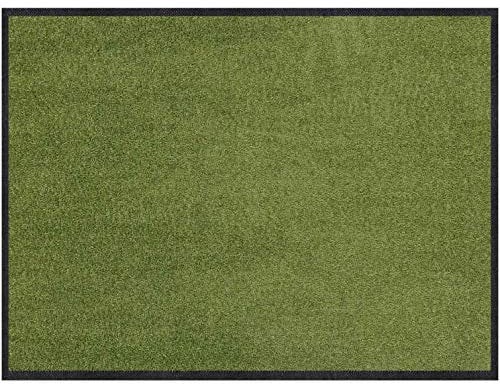 Salonloewe Fußmatte waschbar Salbei 60x85 cm Sauberlaufmatte, Fußabtreter außen, Motiv-Fußmatte, Wohnmatte