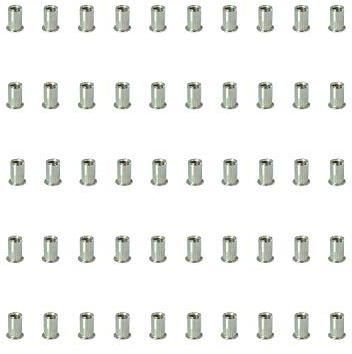 50 pezzi rivetto filettato in acciaio inossidabile (304) M4 M5 M6 M8 M10 rivetto dado Testa piatta con strisce verticali, con scheda tecnica