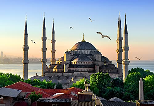 MOSCHEE Fototapete VLIES-450x280 cm (3611A)-Istanbul Palast Vögel Schloss Altstadt Türkei Wandtapete-Inkl. Kleister-Vliestapete Bild Dekoration Wand-Dekor Moderne Motiv-Tapete Panorama Poster XXL
