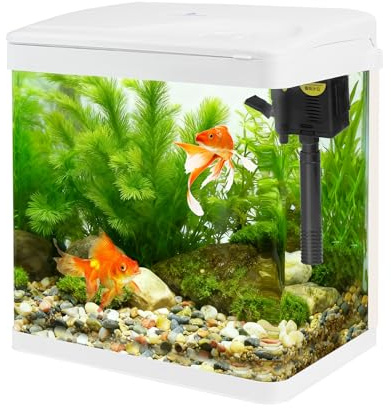 Piccolo acquario in vetro da 8 litri con filtro e luce, kit all-in-one in vetro da tavolo con pompa per pesci rossi, betta, gamberetti, bianco
