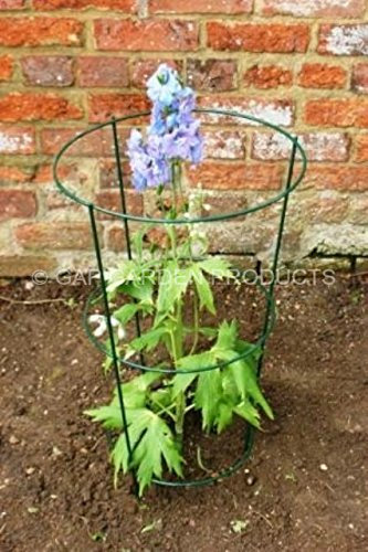 GAP GARDEN PRODUCT - 30 (76cm) Tall Conical Plant Support, Coated Green (Pack of 5 supports) Ideal For Supporting Large Perennials (Peonies, Delphiniums, Oriental Poppies)