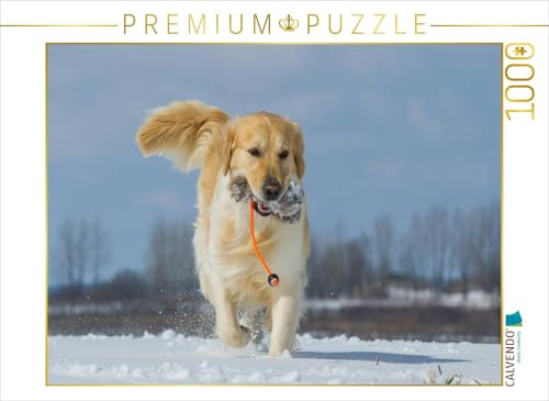 CALVENDO Puzzle Golden Retriever | 1000 Teile Lege-Größe 64 x 48 cm Foto-Puzzle für glückliche Stunden